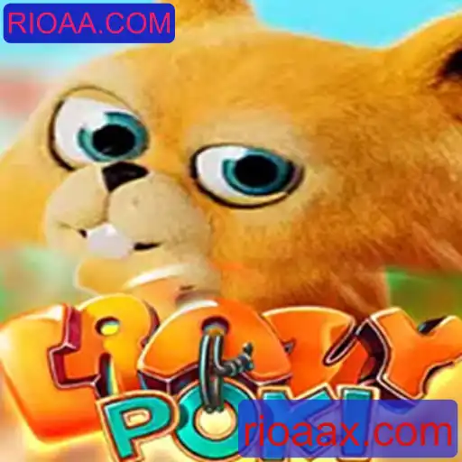 Descubra o Universo de CrazyPoki: O Jogo de Estratégia Envolvente